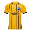 Brighton Hove Albion Udebane 2024-25 - Fodboldtrøjer (S/S)